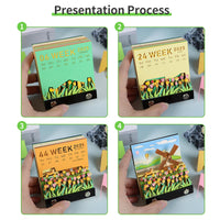 3D-Kalender 2026 - Windmühle